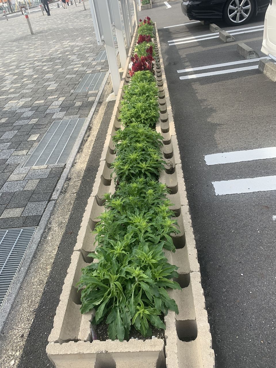 東刈谷駅前の弊社の花壇