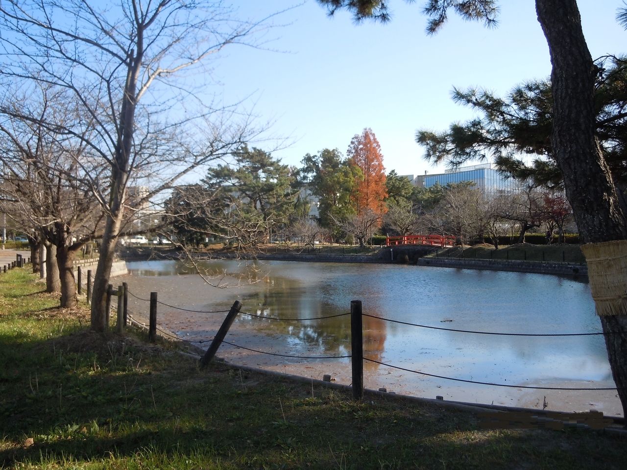 刈谷城（亀城）址を利用した亀城公園には、ソメイヨシノ（約400本）が植えられており、4月には桜まつりが開催され、多くの市民で、にぎわっています。