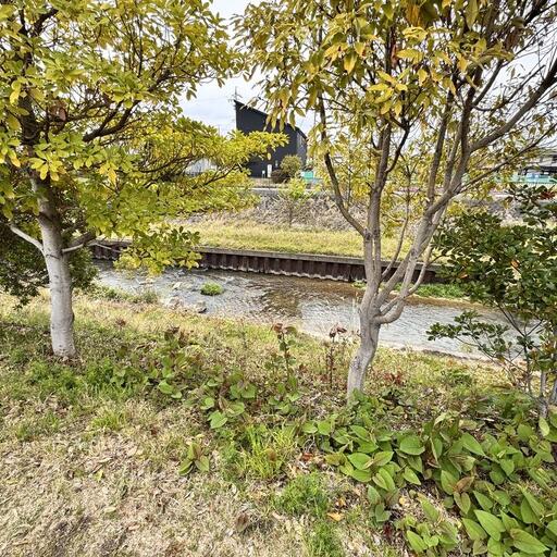 周辺環境 逢妻男川