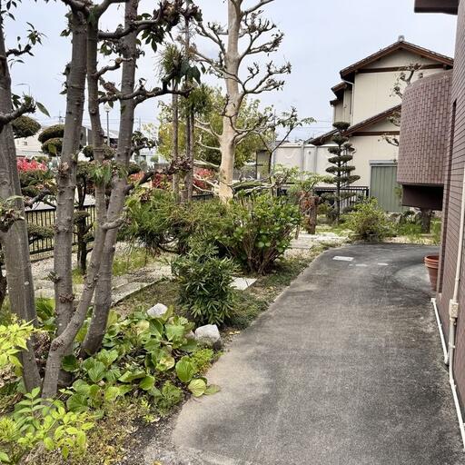 敷地北側